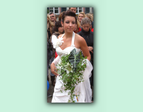 08lilien.jpg
