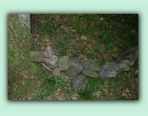 DSC_0007.jpg