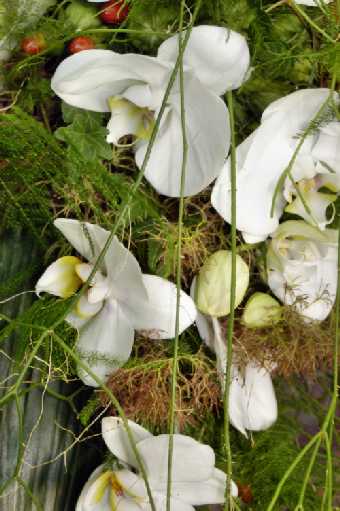 detail